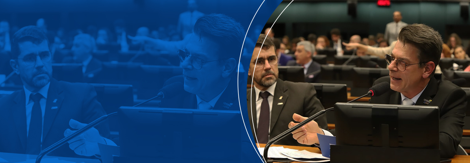 Frentes Parlamentares buscam a aprovação do PL 108/2021